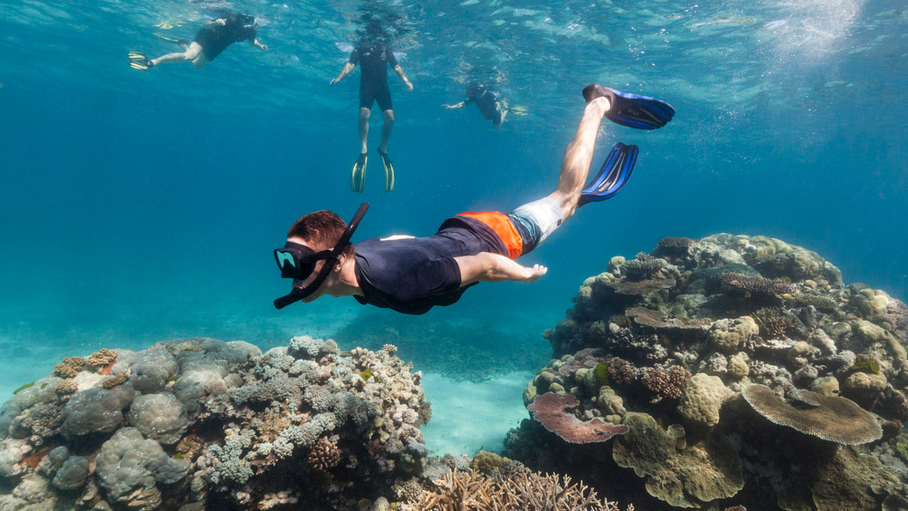 Snorkeling from Nilaveli