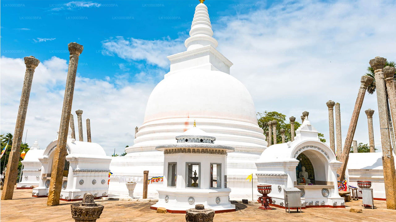 Buddhist Pilgrimage Tour (7 Days)