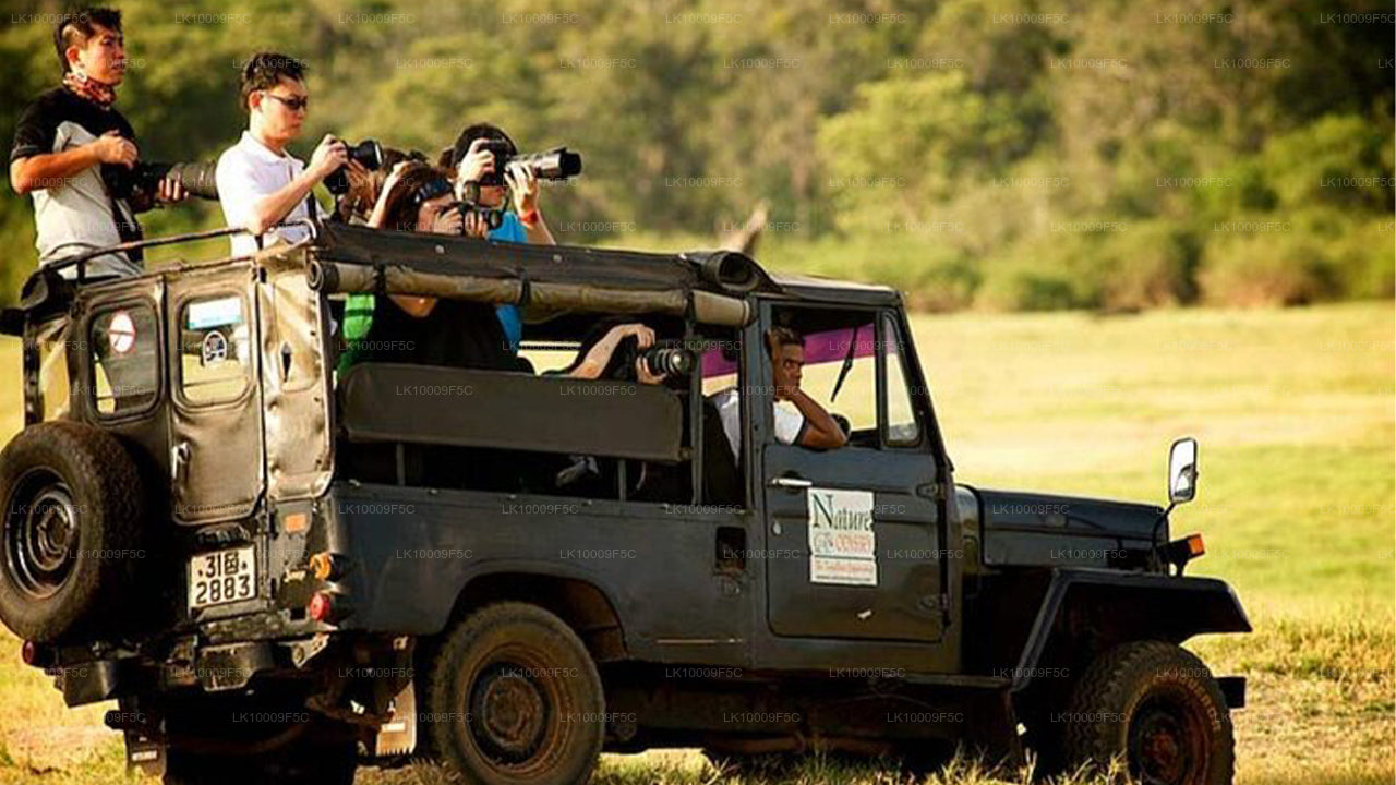 Wildlife Tour Covering Birds and Mammals (7 Days)