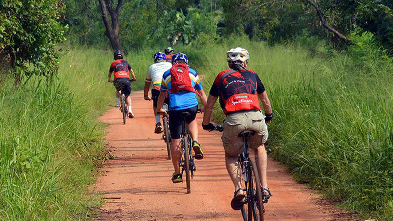 Cycling Tour to Hill Country (9 Days)