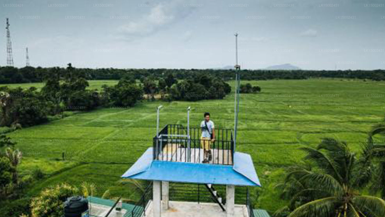 Heaven Upon Rice Fields, Anuradhapura
