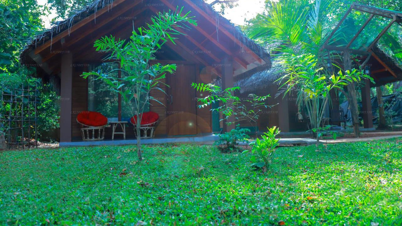 Palmyra Nature Resort, Sigiriya