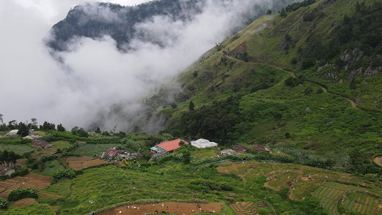 Acacia Inn, Ohiya