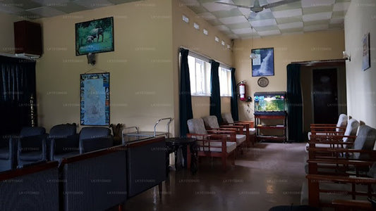 Dunhinda Falls Inn, Badulla