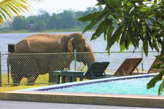 Hotel Lake Park, Polonnaruwa