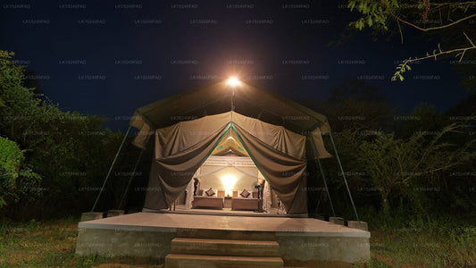 Wilpattu Safari Camp, Wilpattu