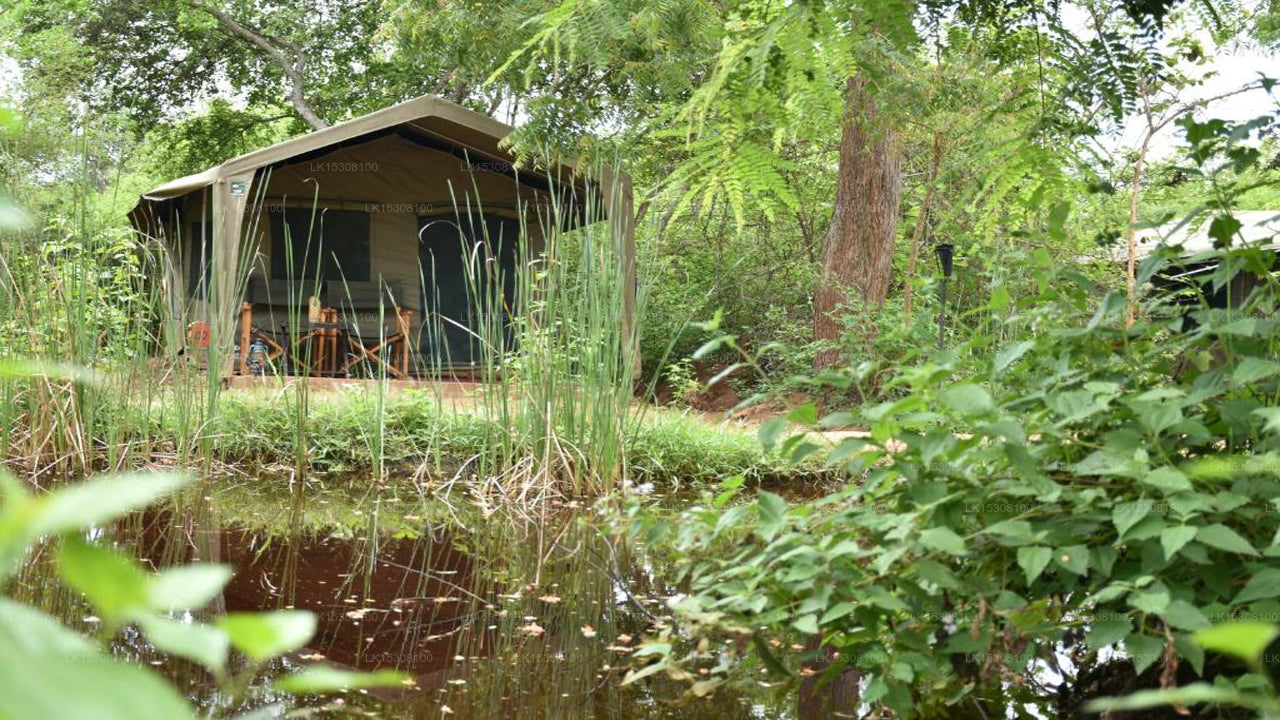 Eco Team Safari Camps Yala