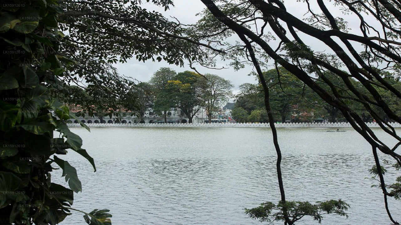 Heaven Seven, Kandy