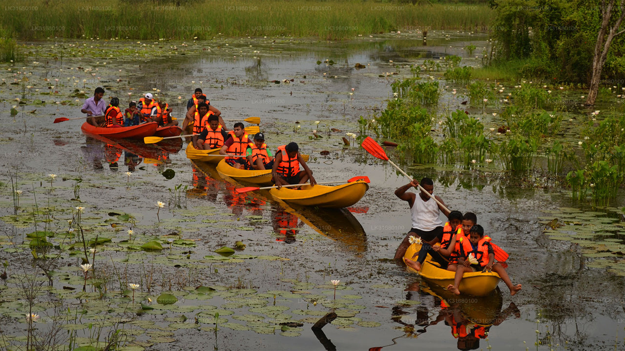 Kayaking from Bolgoda Lake