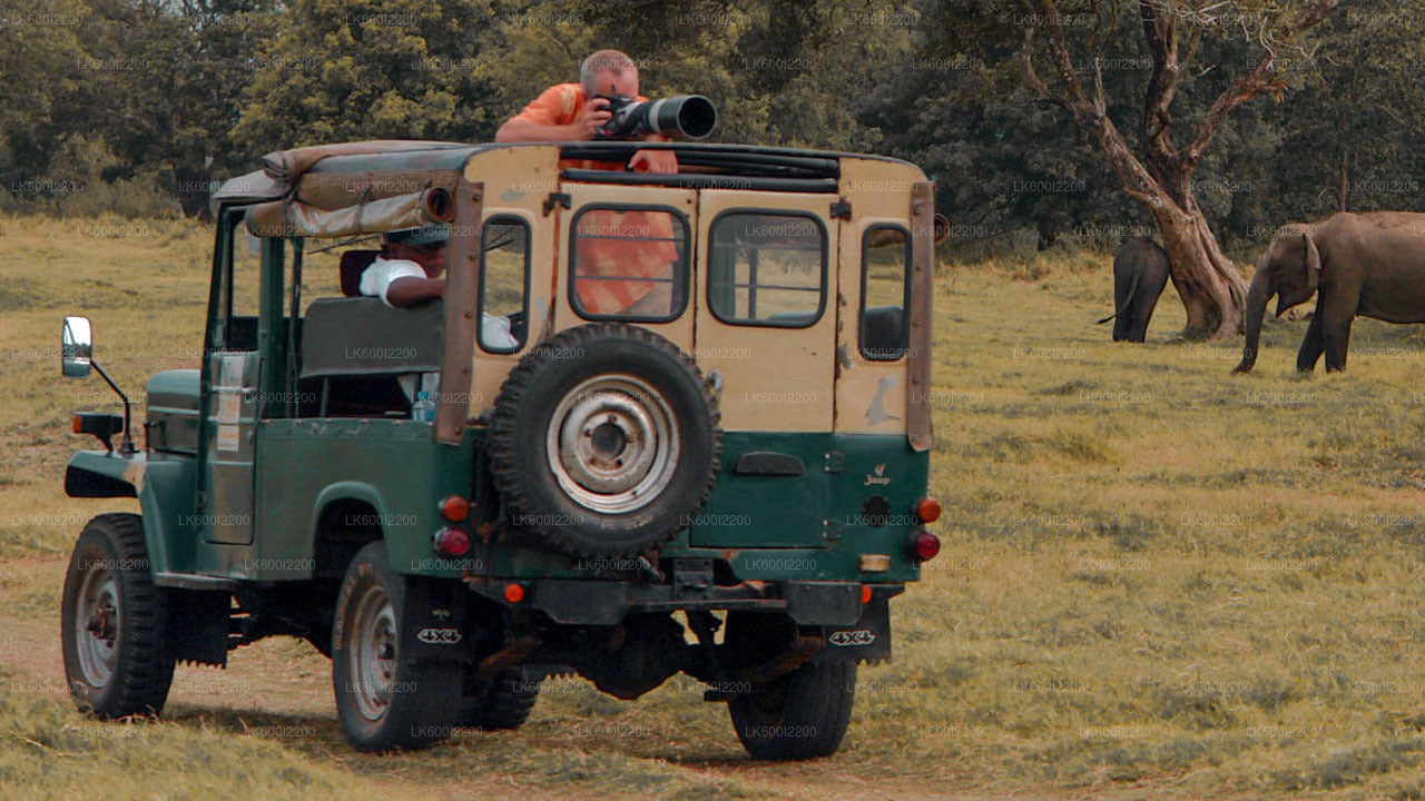 Wilpattu National Park Safari from Dambulla