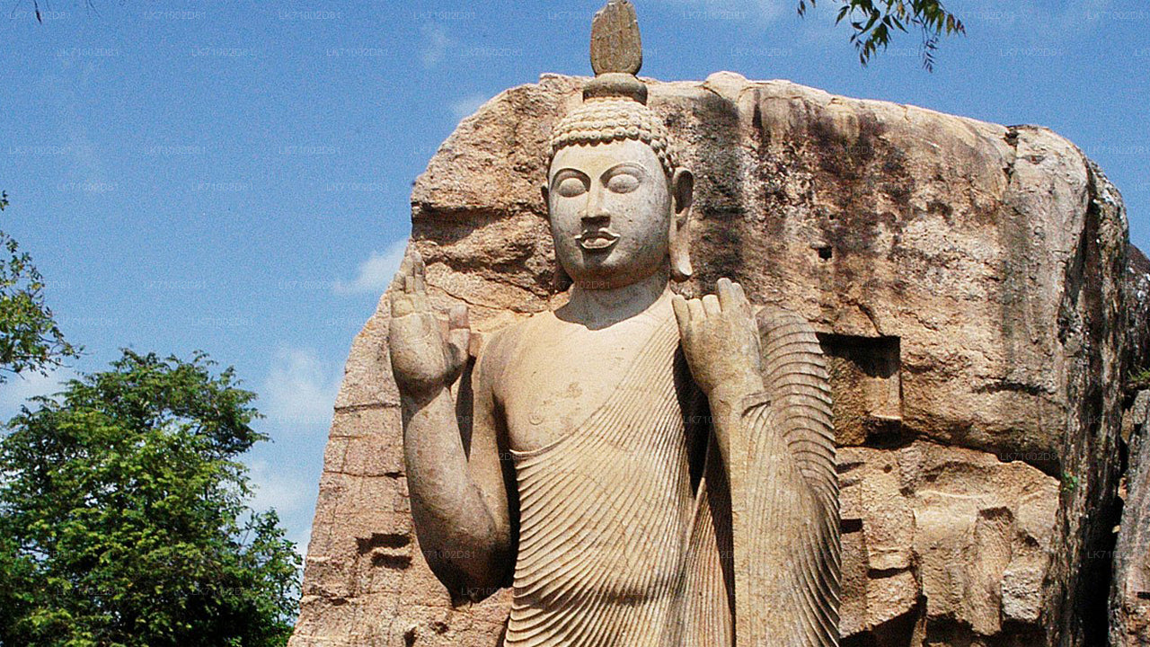 Avukana Buddha Statue Entrance Tickets