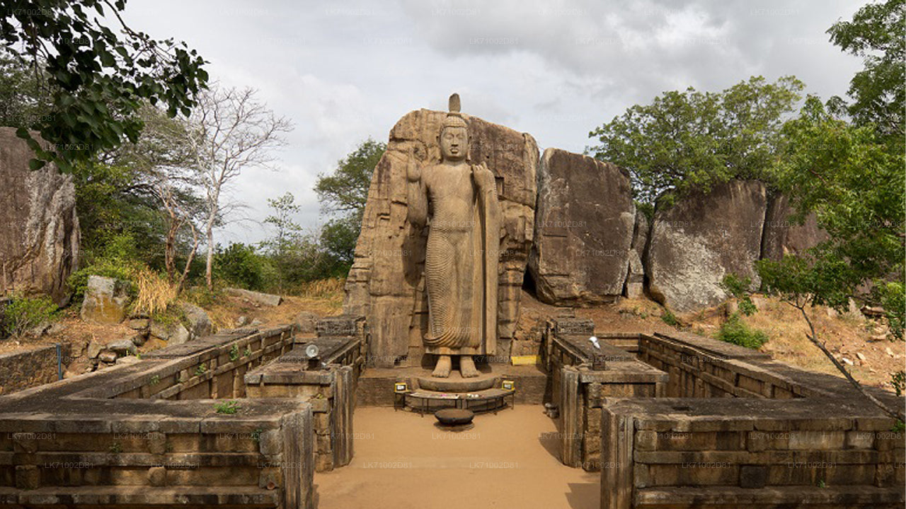 Avukana Buddha Statue Entrance Tickets