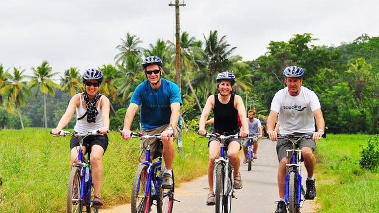 35 Km Mountain Bike Day Cycling Tour From Galle