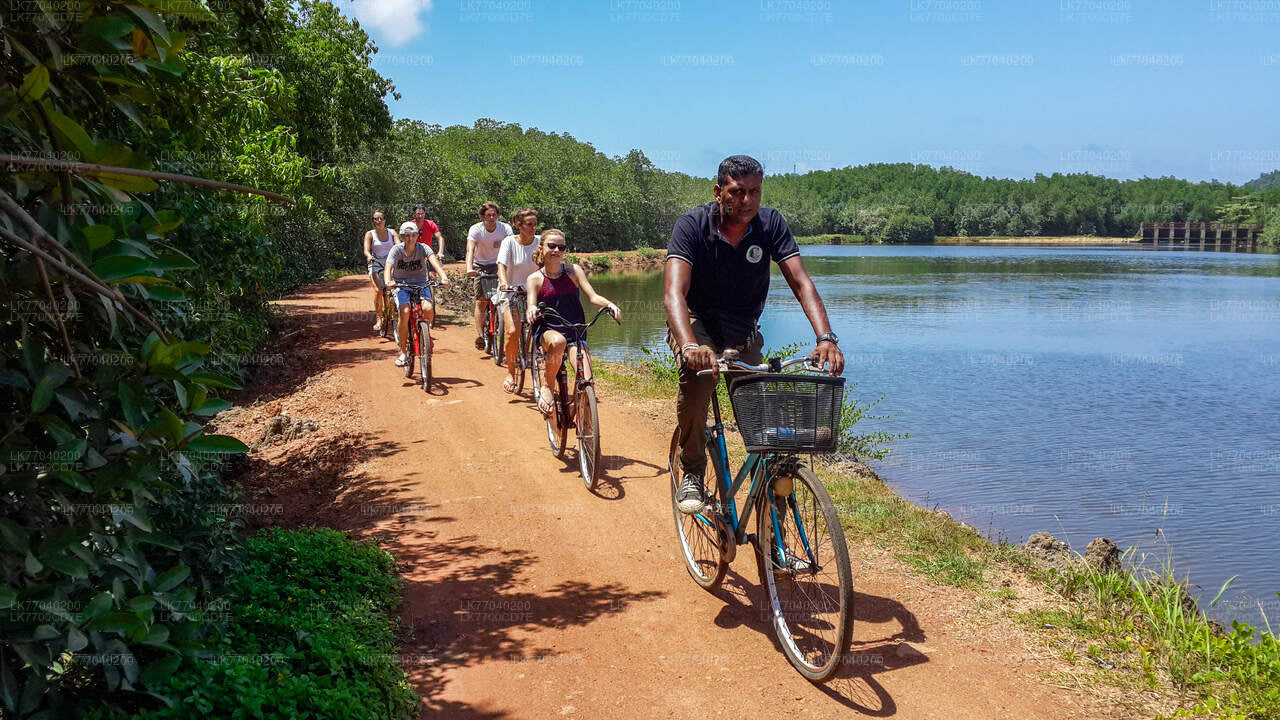 100 Km Sporting Cycling Tour From Galle