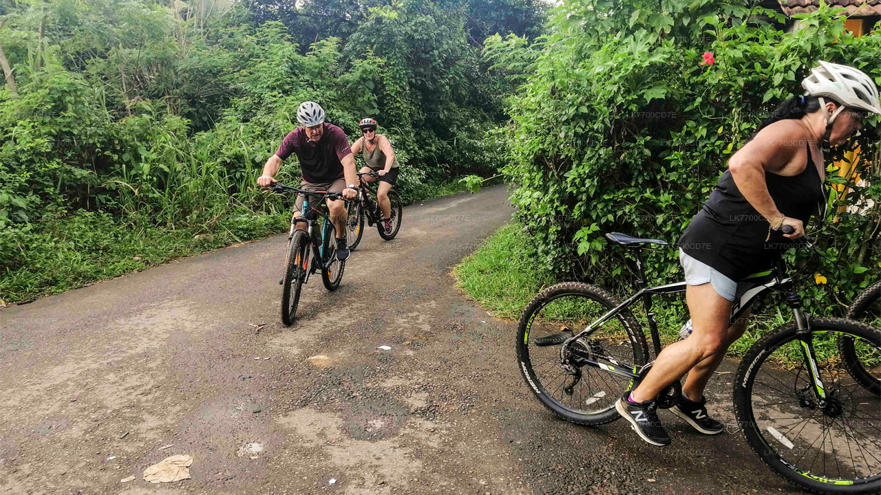 Fun Family Bike Ride From Galle