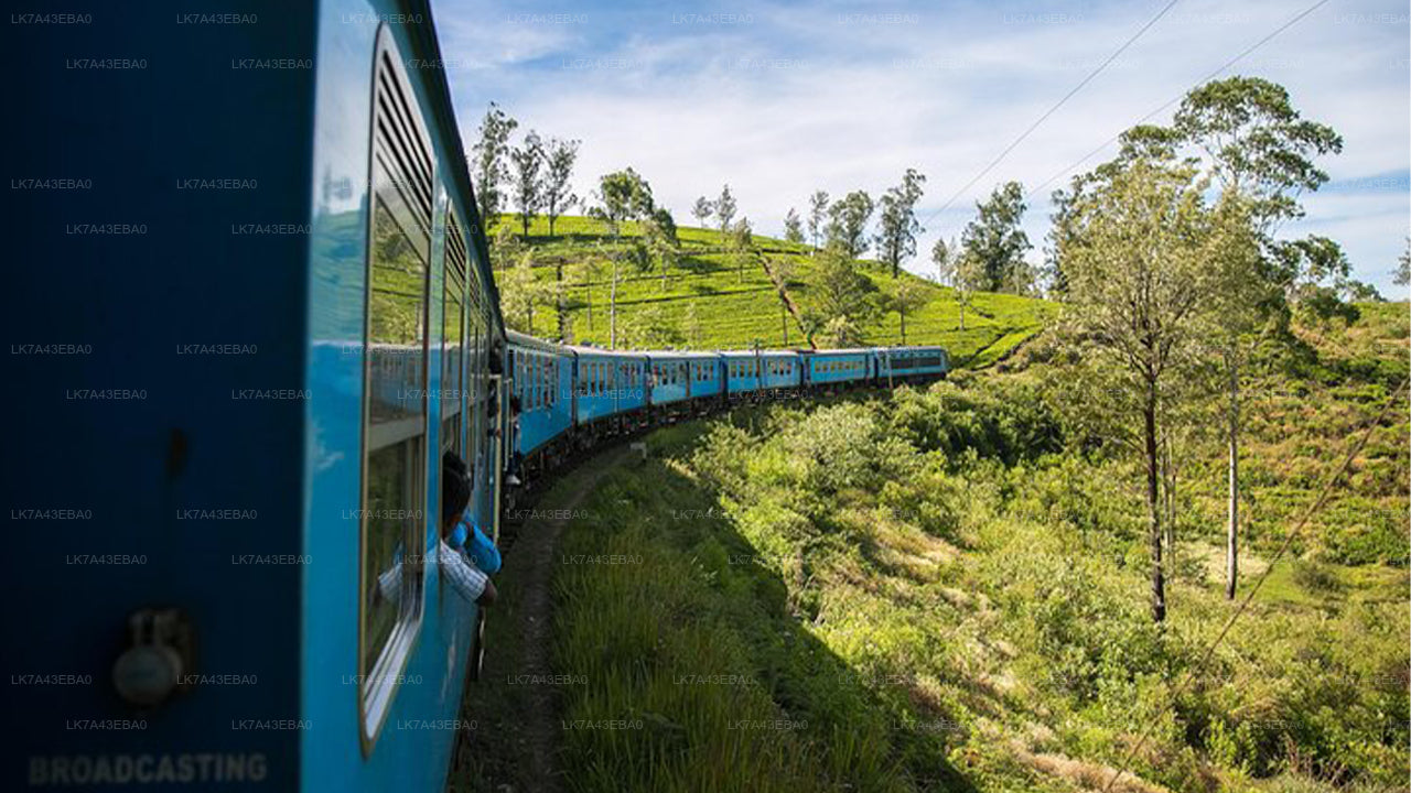 Train Ticket Reservation from Kandy to Ella, Nanu Oya, and Badulla