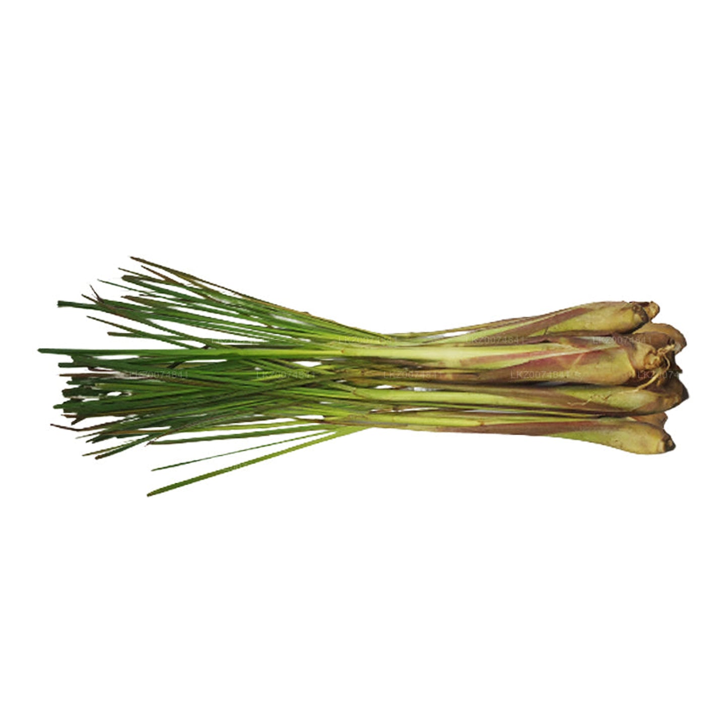 Fresh Lemongrass (සේර)