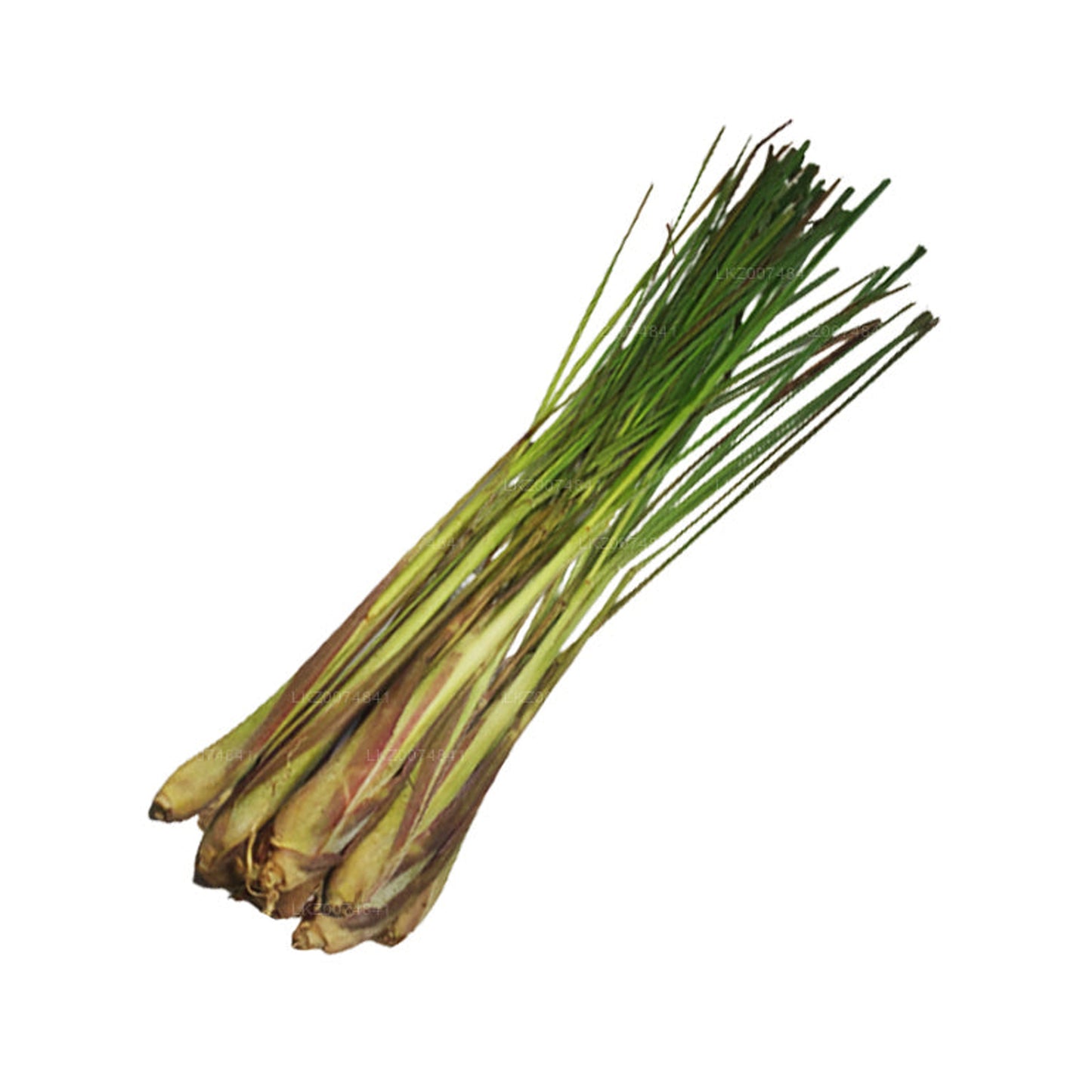 Fresh Lemongrass (සේර)