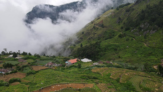 Acacia Inn, Ohiya