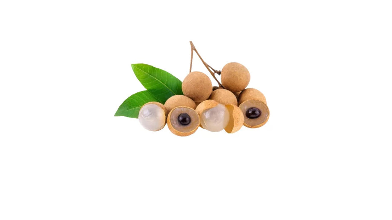 Bangkok sweet longan (බැංකොක් පැණි මොර (බද්ධ) Fruit Plant