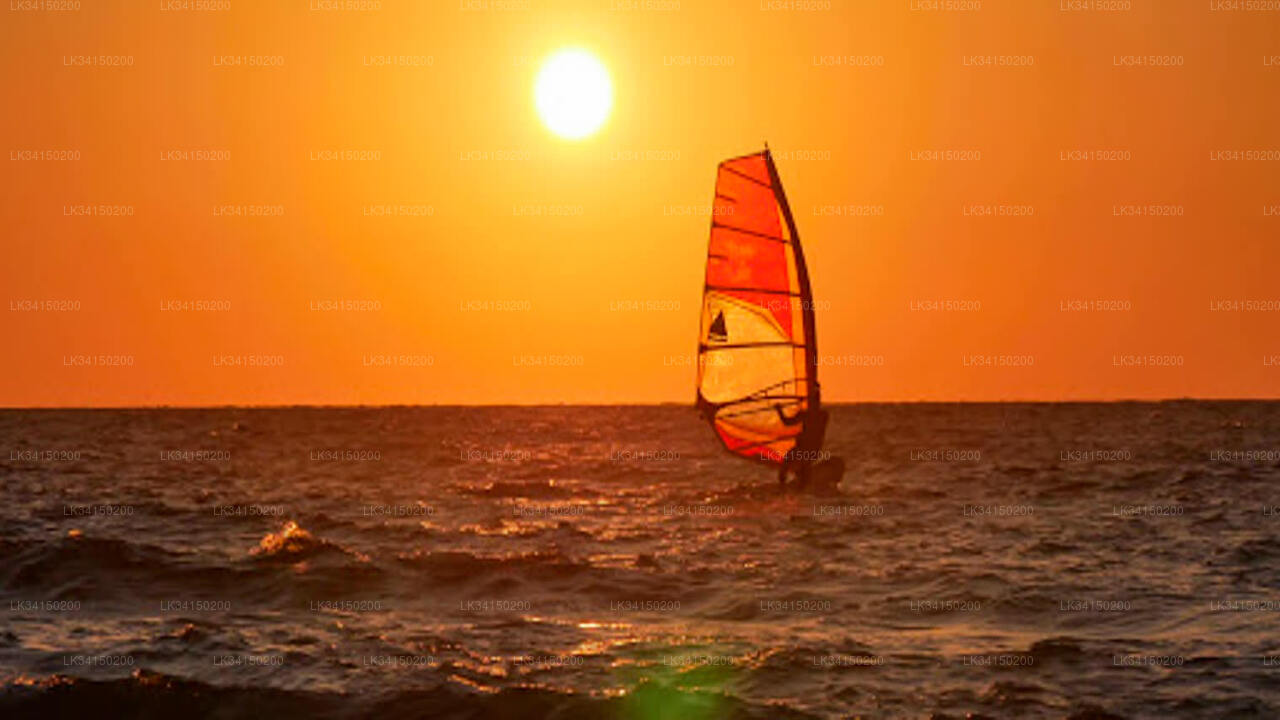 6 hour Windsurfing Course for Kids from Kalpitiya