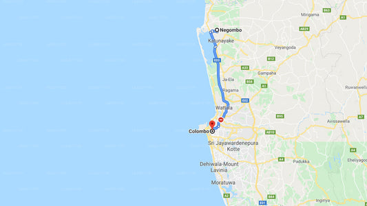 Negombo City to Colombo City Private Transfer