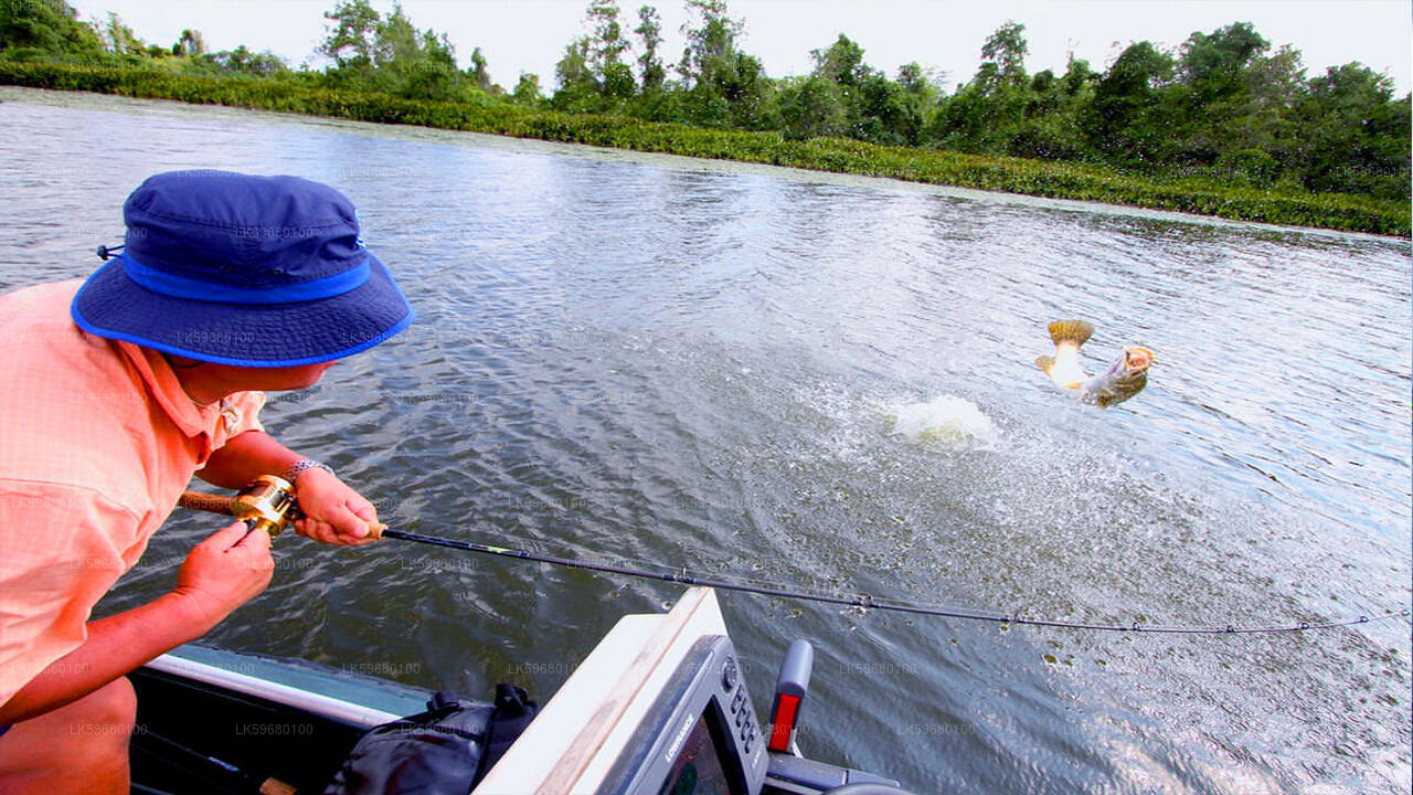 Freshwater Fishing at Bolgoda Lake from Colombo