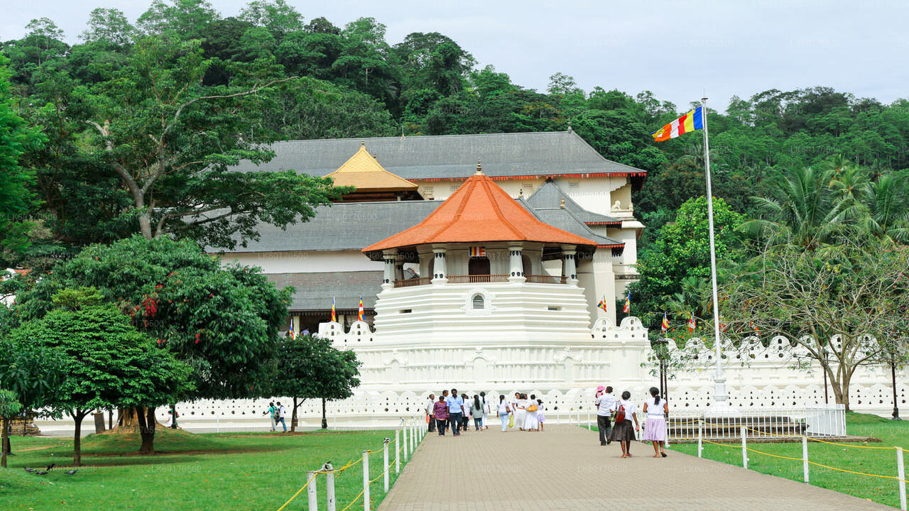 Temple Run Tour from Kandy