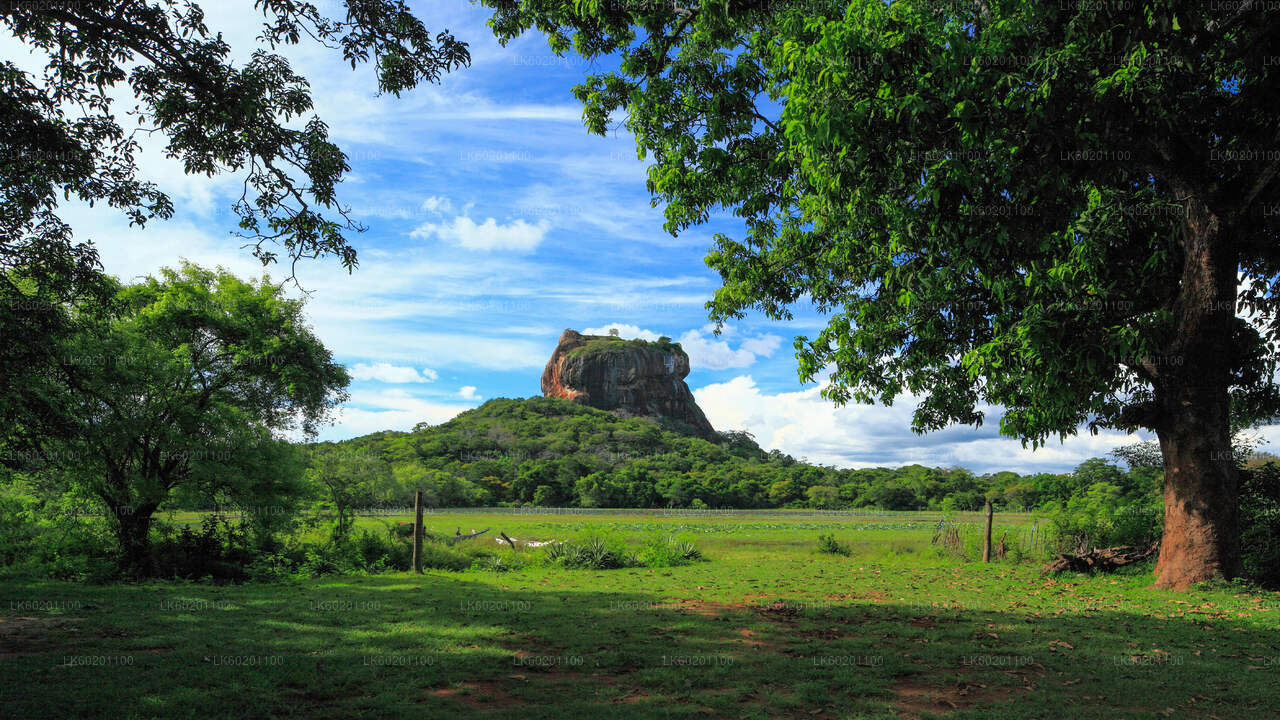 Sigiriya Rock and Dambulla Cave from Sigiriya