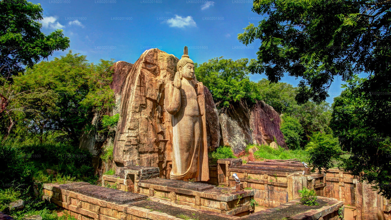 Yapahuwa Ancient Kingdom from Sigiriya