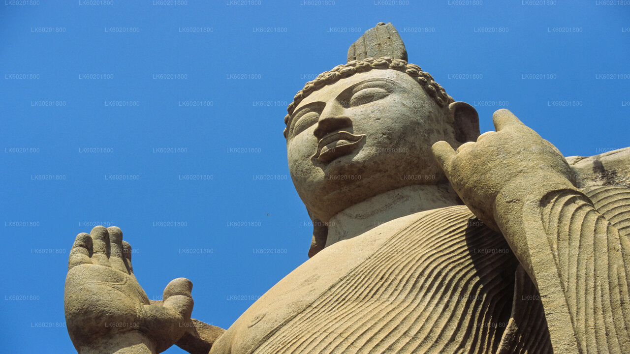 Anuradhapura Buddhist Icons Tour from Sigiriya