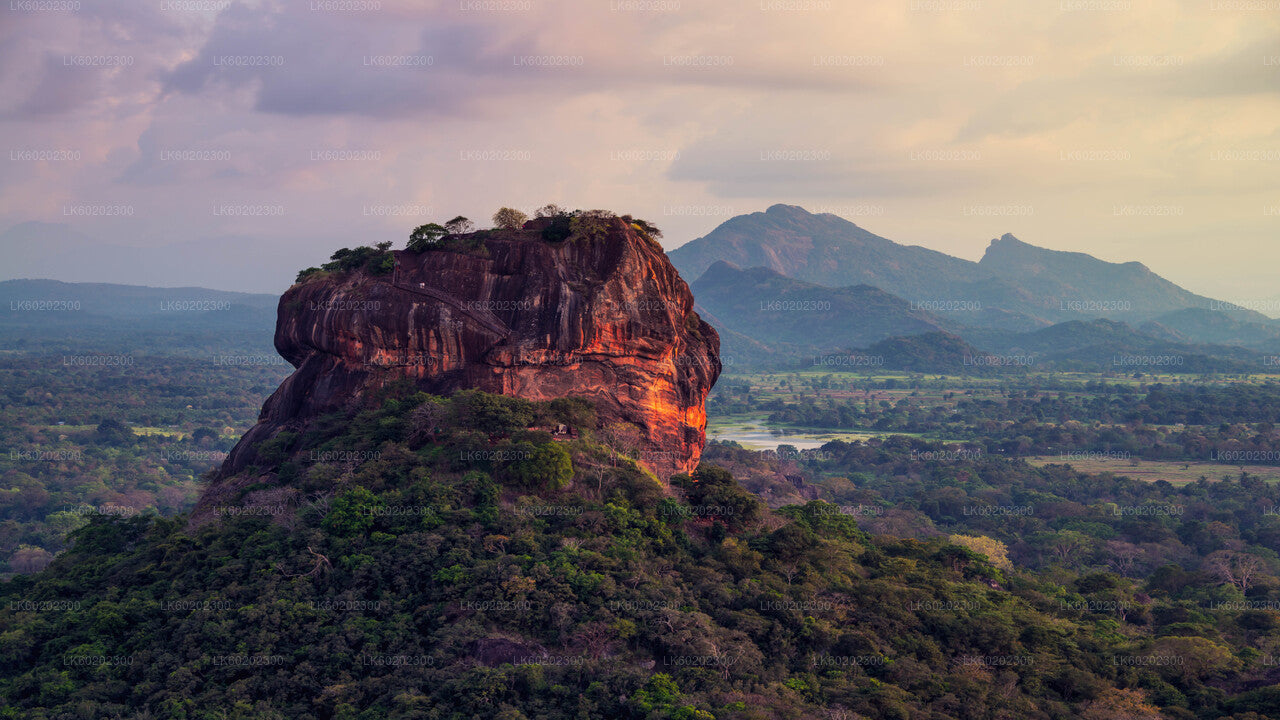 Sigiriya Rock and Countryside from Sigiriya