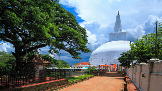 Sacred City of Anuradhapura from Sigiriya