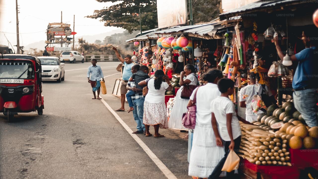 Colombo City Walk with a Local