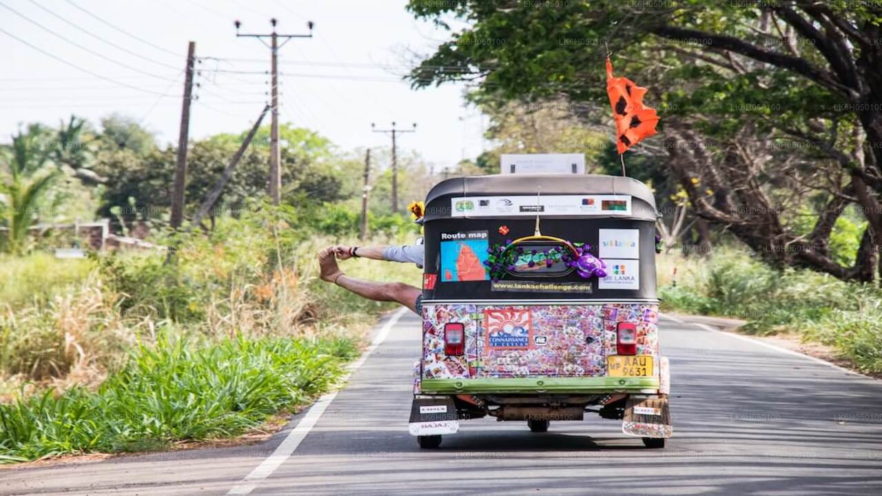 Negombo City Tuk Tuk Safari