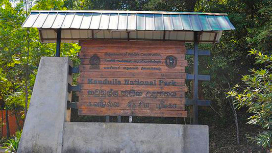 Kaudulla National Park Entrance Tickets