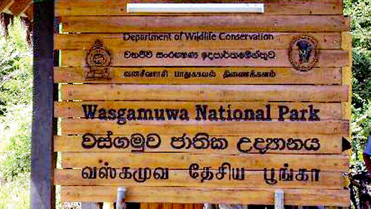 Wasgamuwa National Park Entrance Ticket