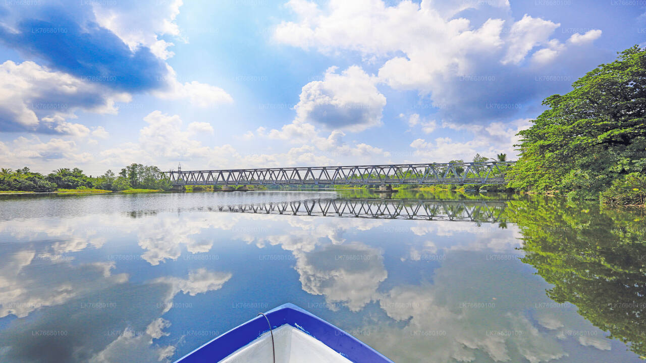 Bolgoda Lake Boat Safari from Colombo