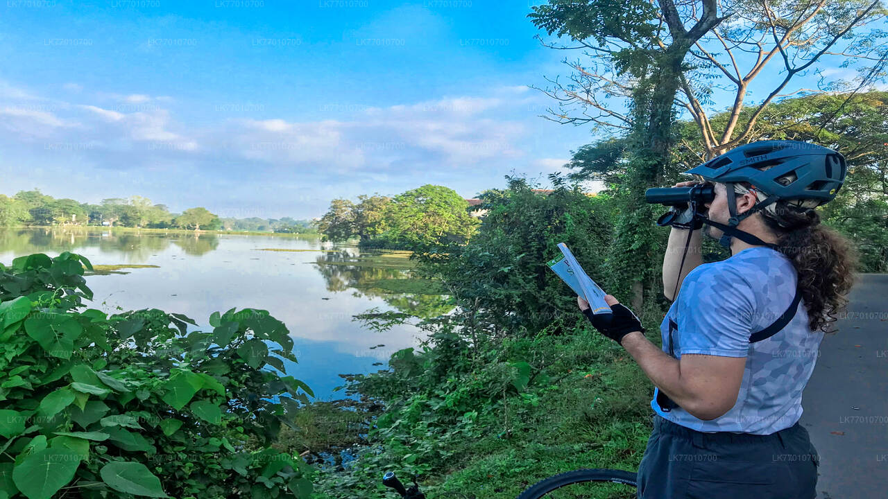 Cycling in Thalangama Wetland