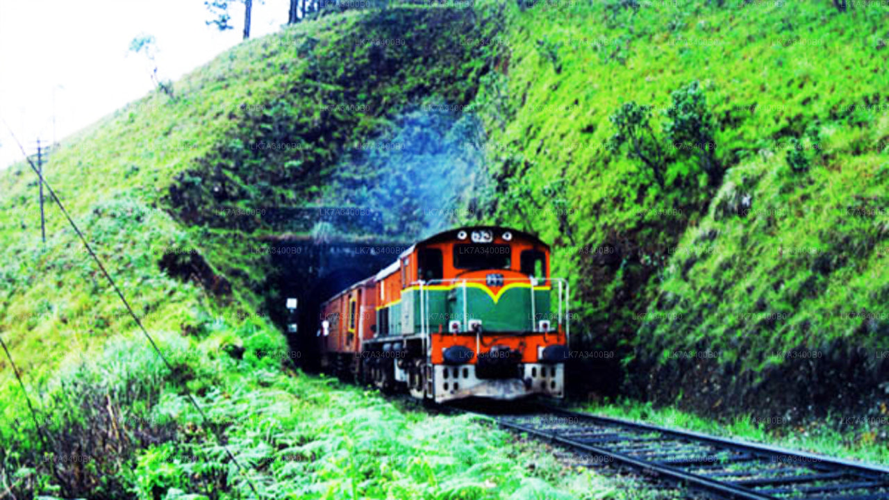 Kandy to Nanu Oya train ride on (Train No: 1015 "Udarata Menike")
