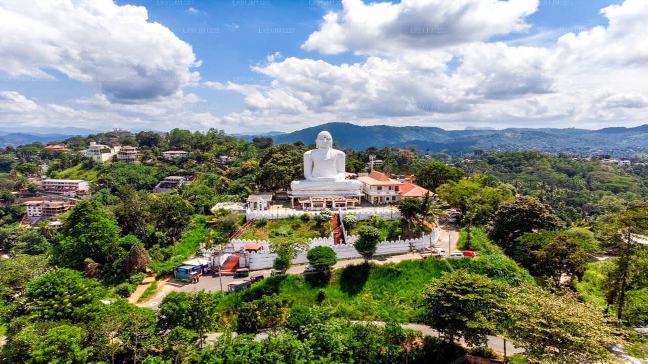 Discover Kandy by Helicopter from Colombo