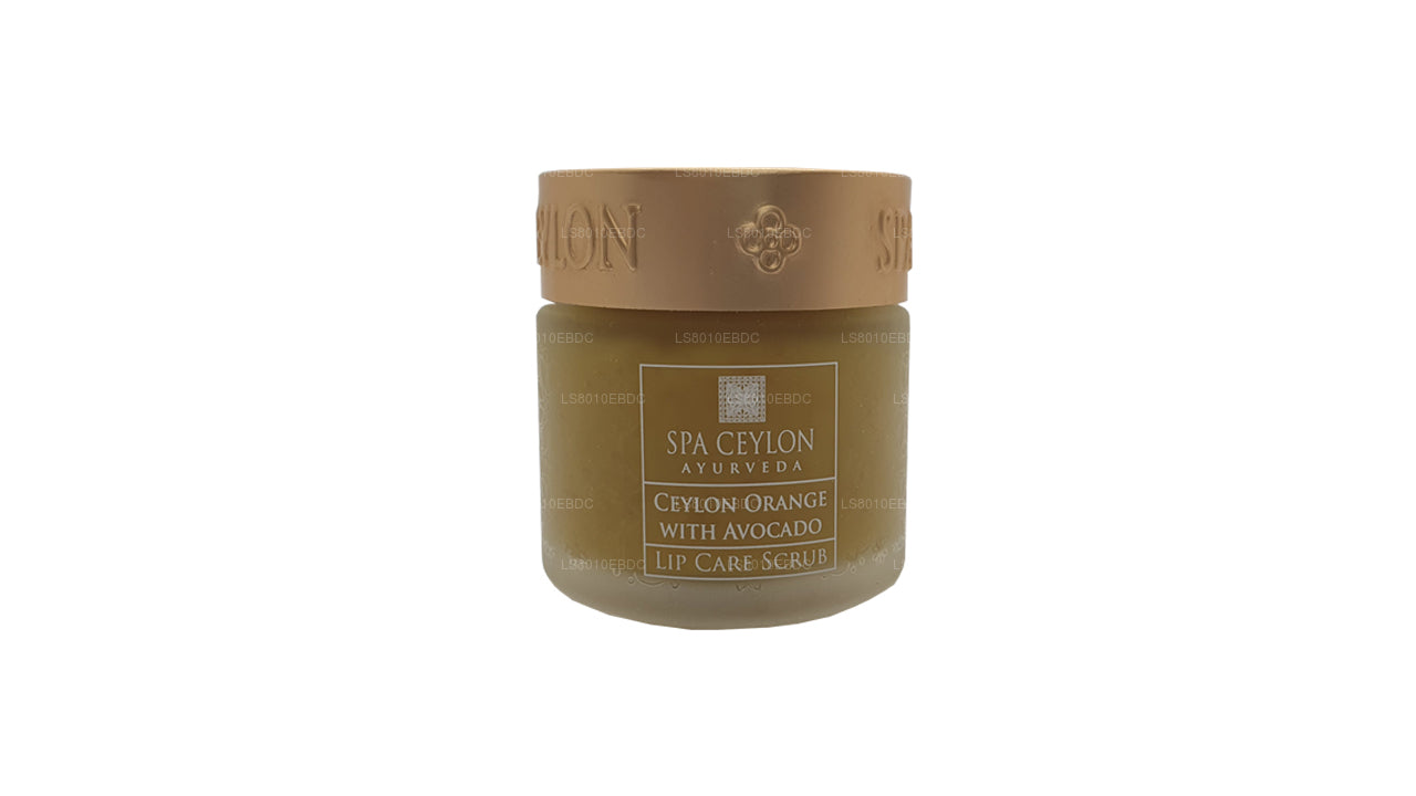 Spa Ceylon Ceylon Orange With Avocado - Lip Care Scrub (25g)