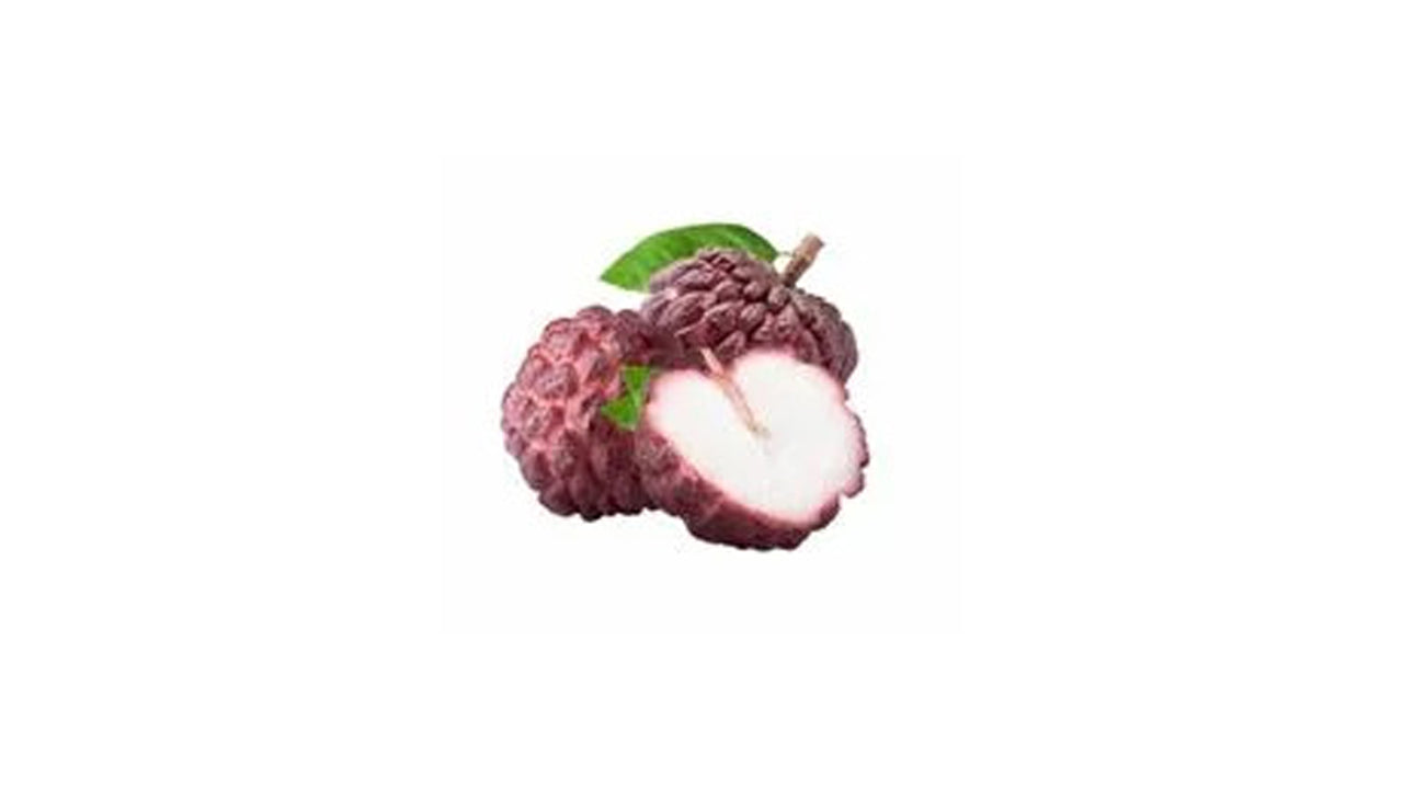 Red Custard Apple (රතු සීනි අනෝදා) Fruit Plant